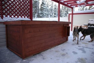 Yukon German Shepherds - Whitehorse, Yukon